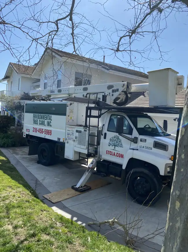 The Environmental Tree Care, Inc. team